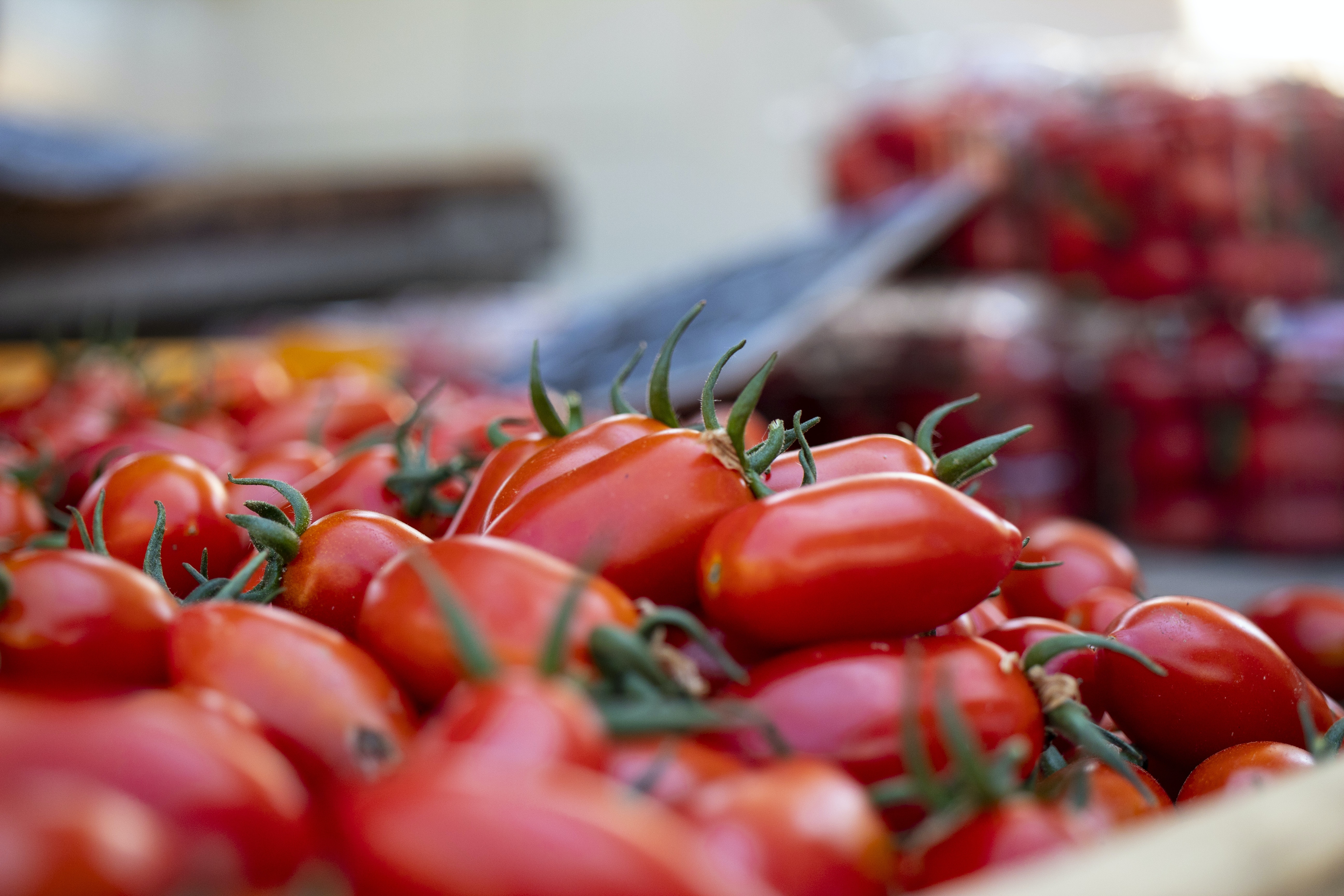 tomatos on shelves