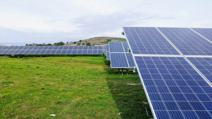 Field with solar panels