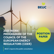 2025 workprogramme of the Council of the European Energy Regulators (CEER): BEUC's input to the public consultation