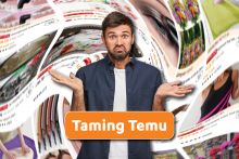 Visual for 'Taming Temu' action