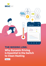 Dynamic Pricing report cover