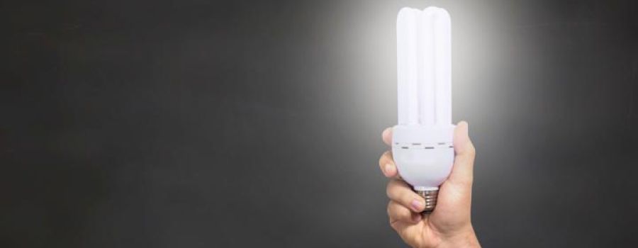 Hand holding a lightbulb