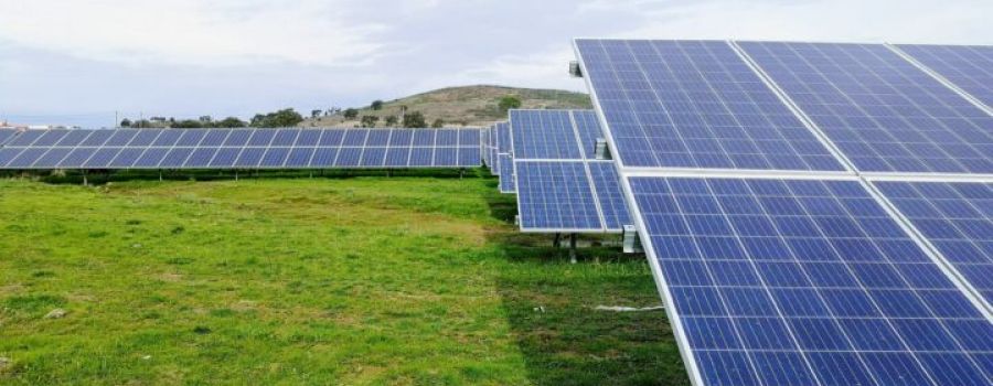 Field with solar panels